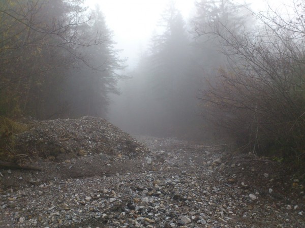 Bachbett im Nebel; Foto: ©susannegurschler